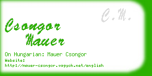 csongor mauer business card